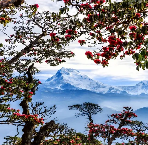 Annapurna Region Nepal