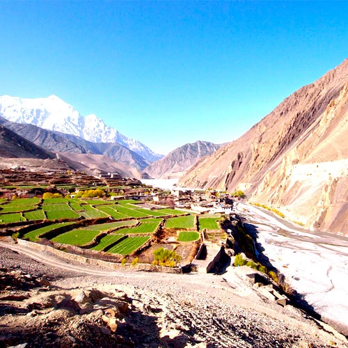 Mustang Region