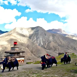 Upper Dolpo Trek Nepal