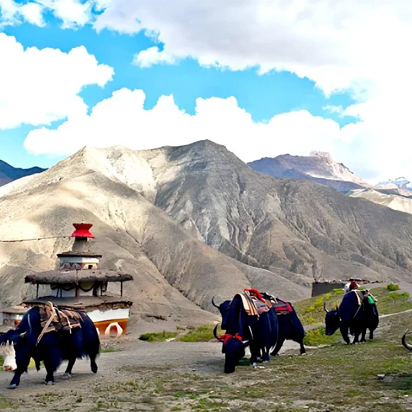 Upper Dolpo Trek Nepal