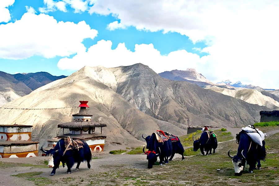 Upper Dolpo Trek Nepal
