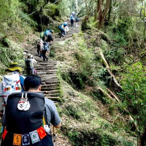 Forest Camp Mardi Himal Trek