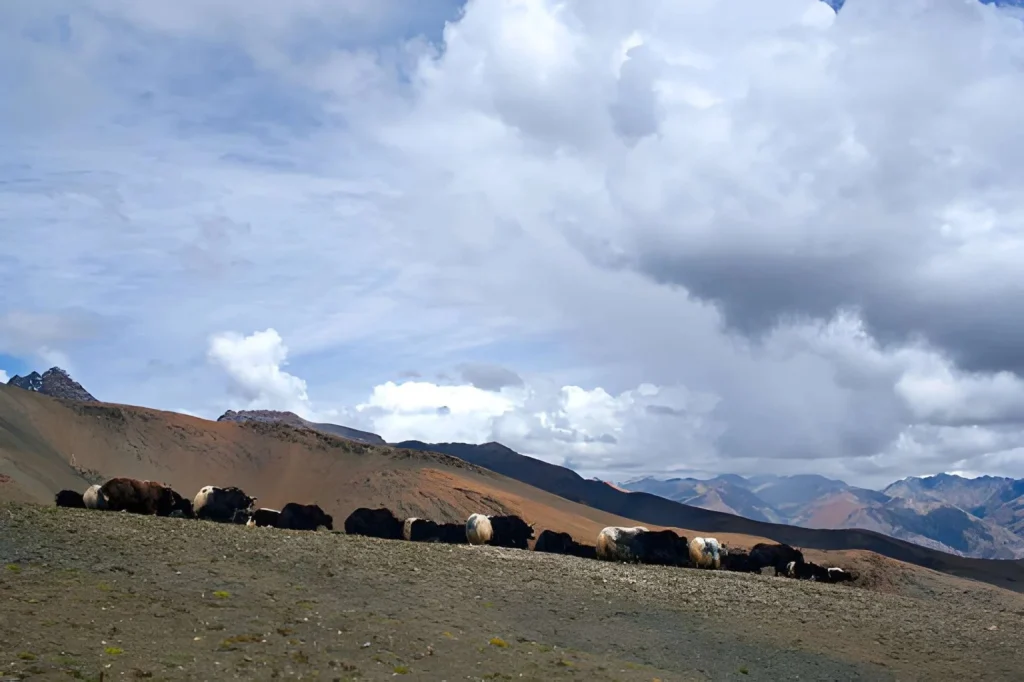 Upper Dolpo Trek Nepal