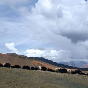 Upper Dolpo Trek Nepal