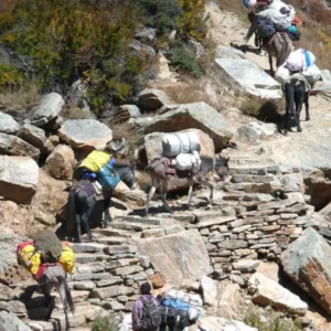 Limi Valley Trek Nepal