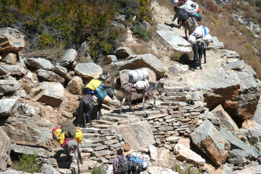 Limi Valley Trek Nepal