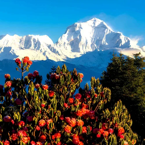 Mini Annapurna Circuit Trek Nepal