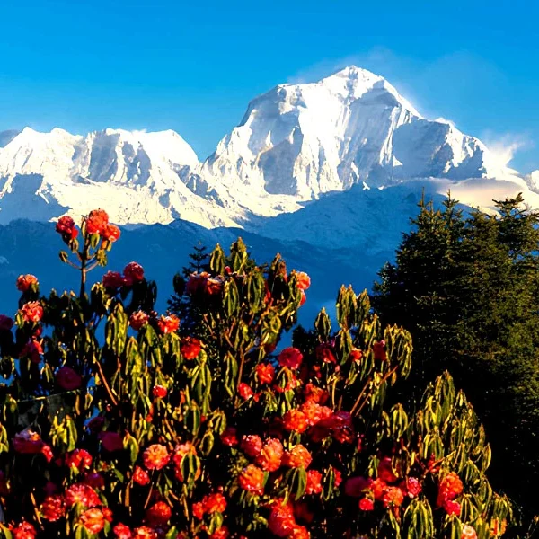 Mini Annapurna Circuit Trek Nepal