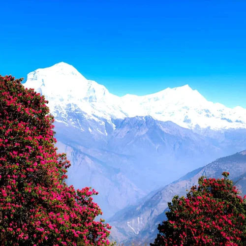 Himalayan Frontiers Nepal