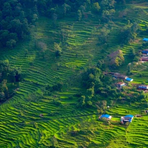 X Dhampus Village from Lwang Village